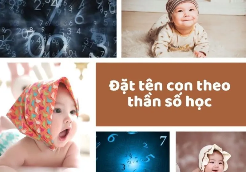 phần mềm đặt tên cho con theo thần số học