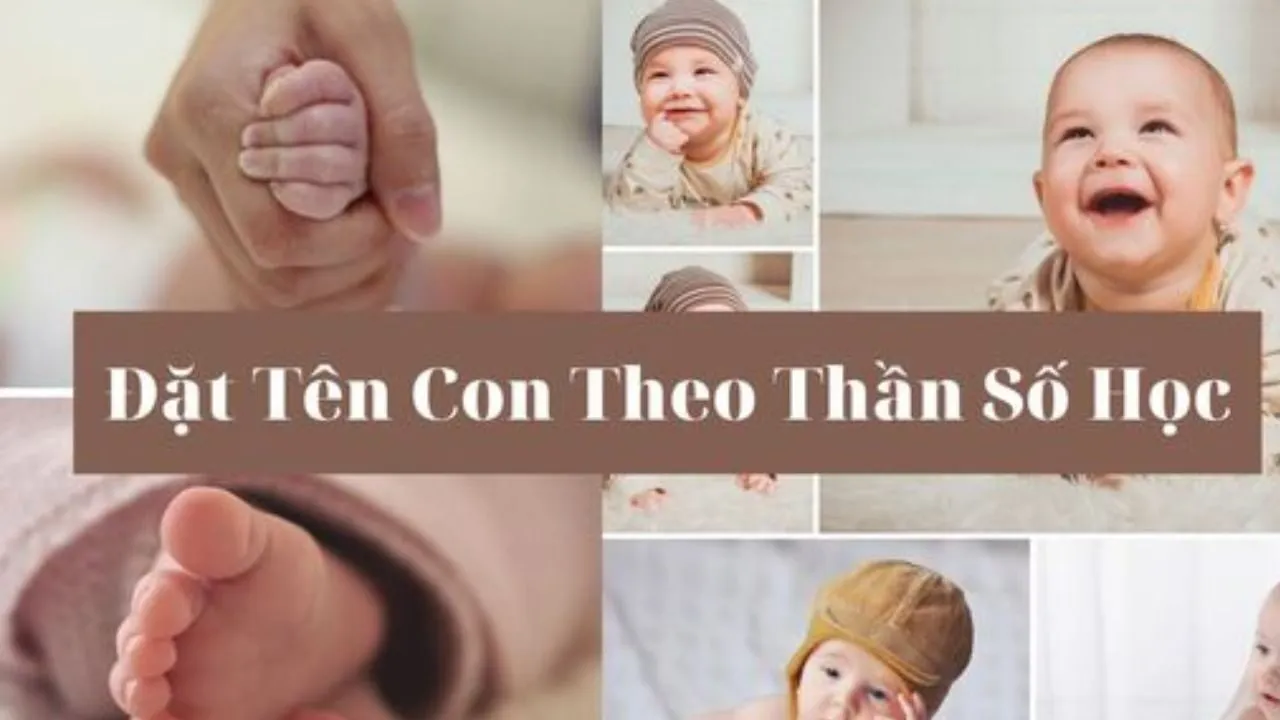 app đặt tên theo thần số học