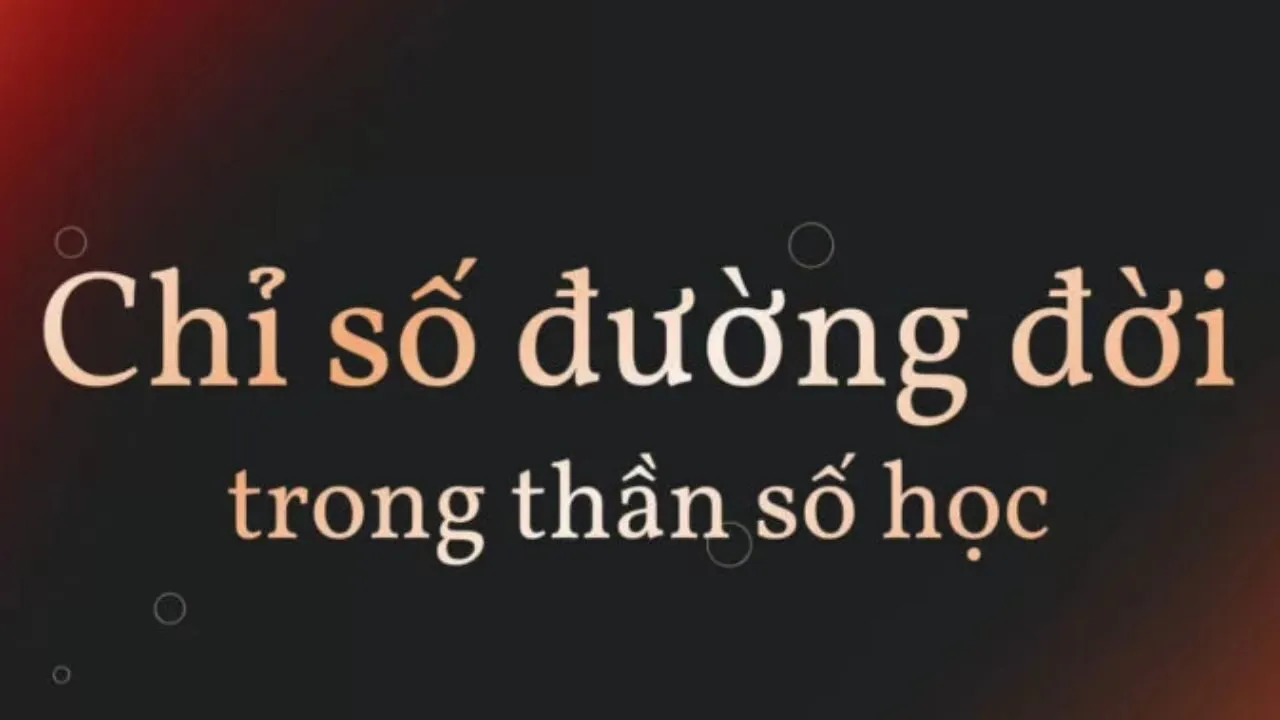 cách tính chỉ số đường đời