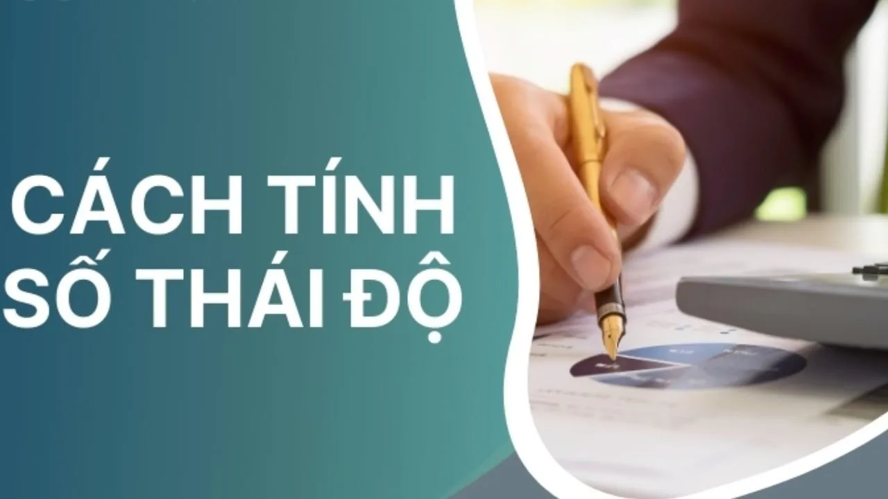 cách tính chỉ số thái độ