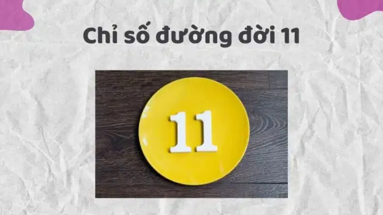 chỉ số đường đời 11