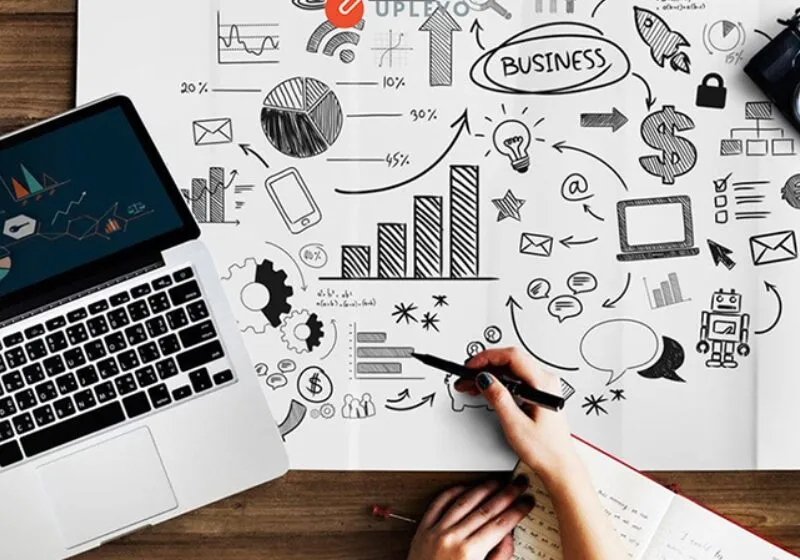 chỉ số đường đời 5 nên làm nghề gì