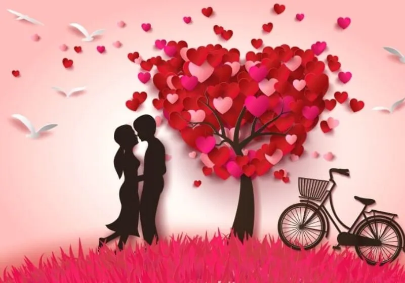 chỉ số đường đời 5 trong thần số học