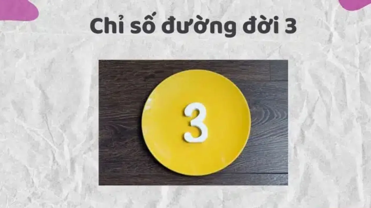 chỉ số đường đời số 3