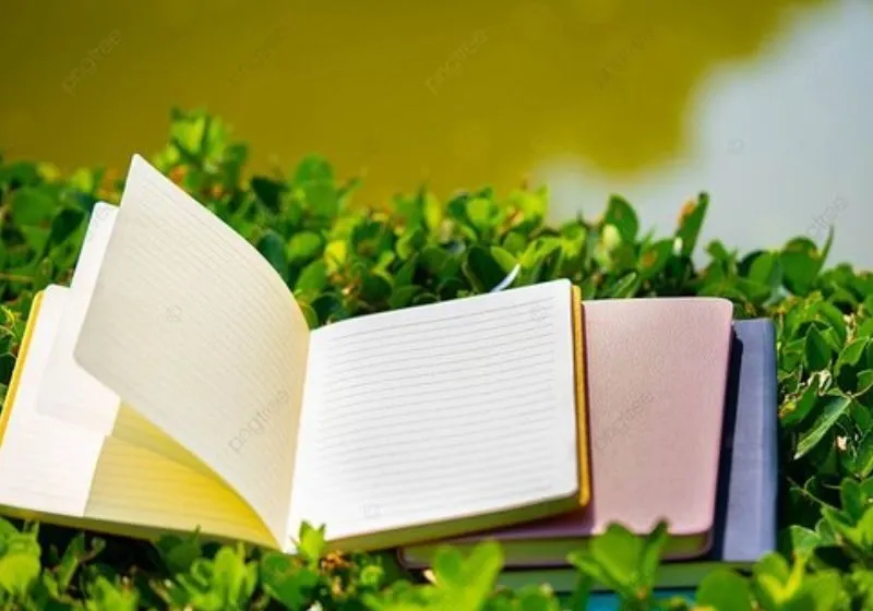 chỉ số đường đời 7 nên làm nghề gì