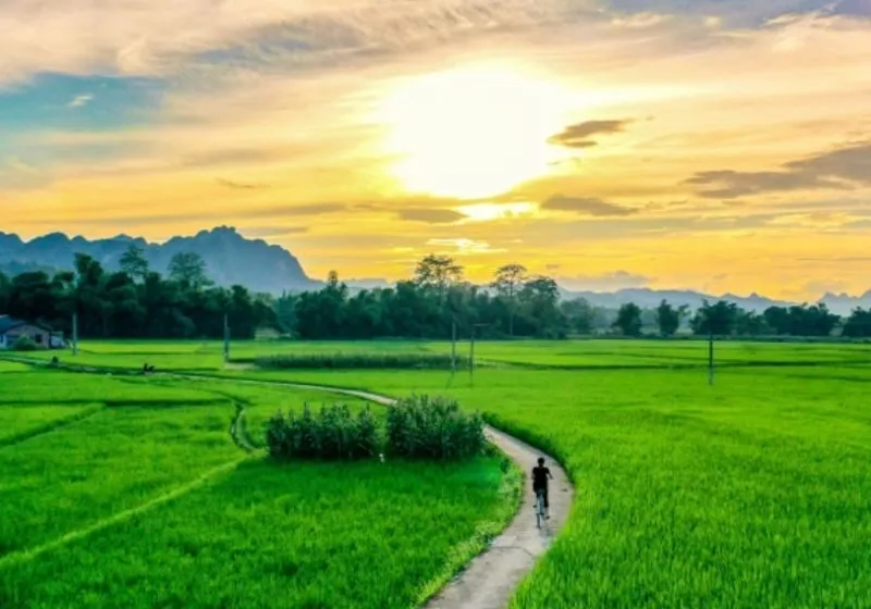 chỉ số đường đời số 7