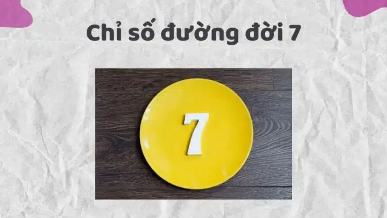 chỉ số đường đời số 7