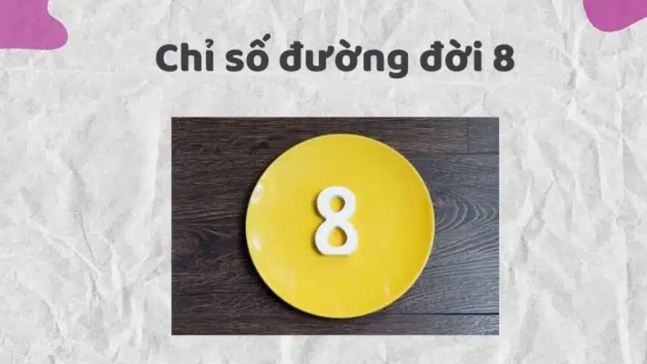 chỉ số đường đời số 8
