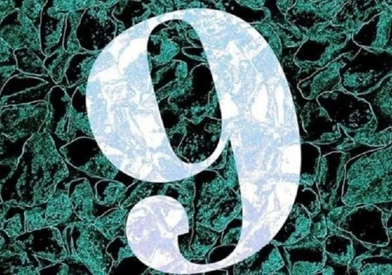 chỉ số đường đời số 9