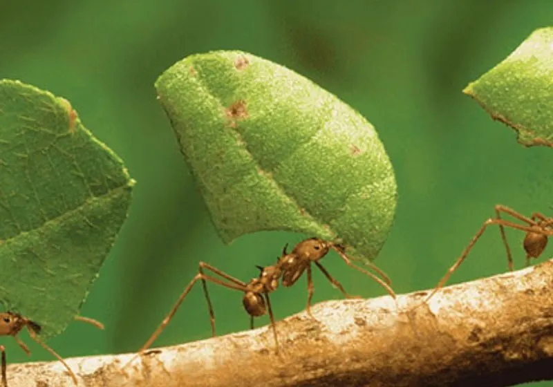 chỉ số linh hồn số 4