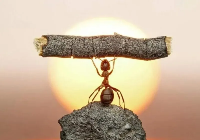 chỉ số linh hồn 8