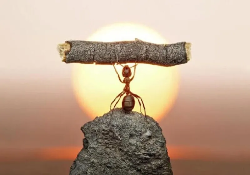 chỉ số năng lực tự nhiên trong thần số học