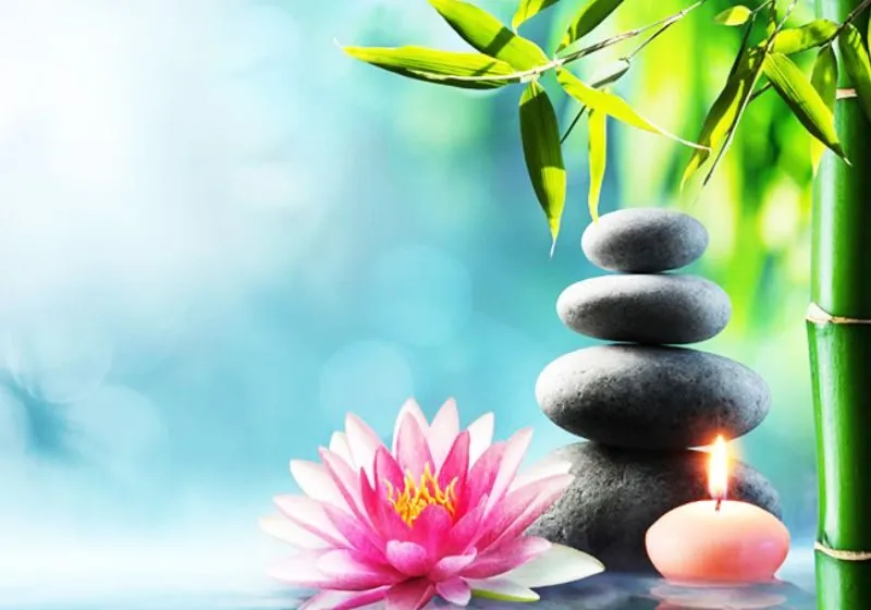 chỉ số thái độ 2