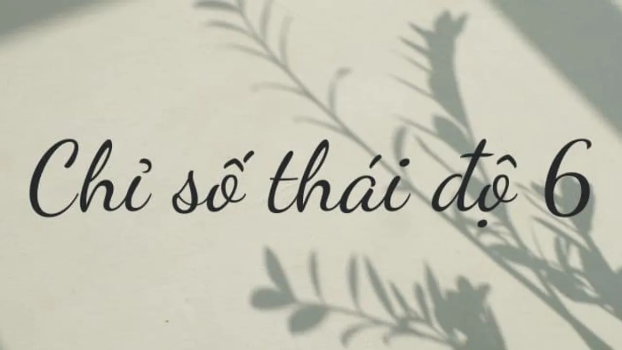 chỉ số thái độ 6