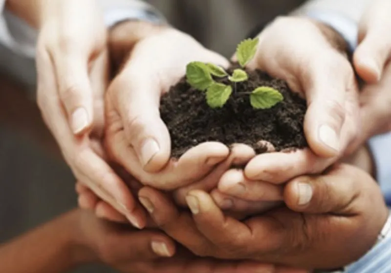 thái độ 9 trong thần số học