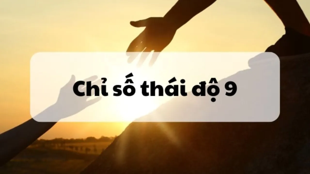 chỉ số thái độ 9