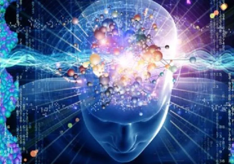 chỉ số trưởng thành 11/2