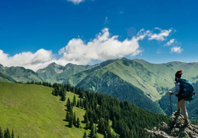 chỉ số trưởng thành số 4