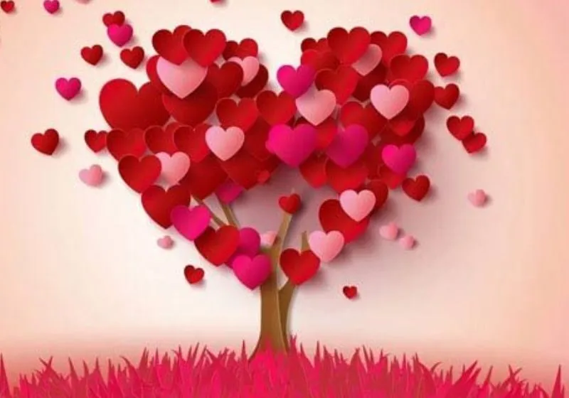 chỉ số trưởng thành 6