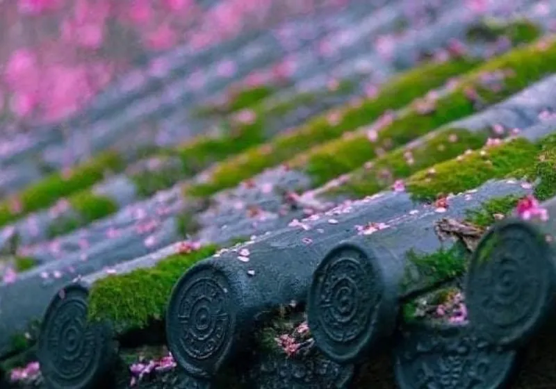 ý nghĩa chỉ số trưởng thành 8