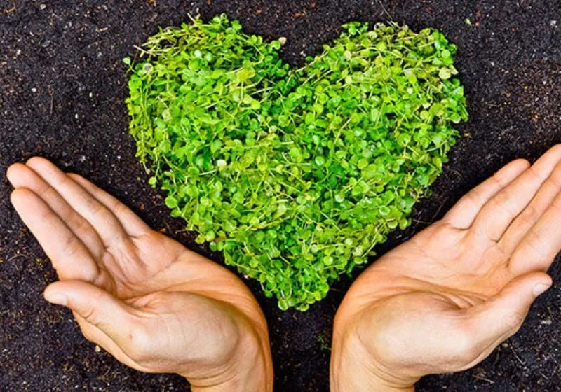 ý nghĩa chỉ số trưởng thành 9