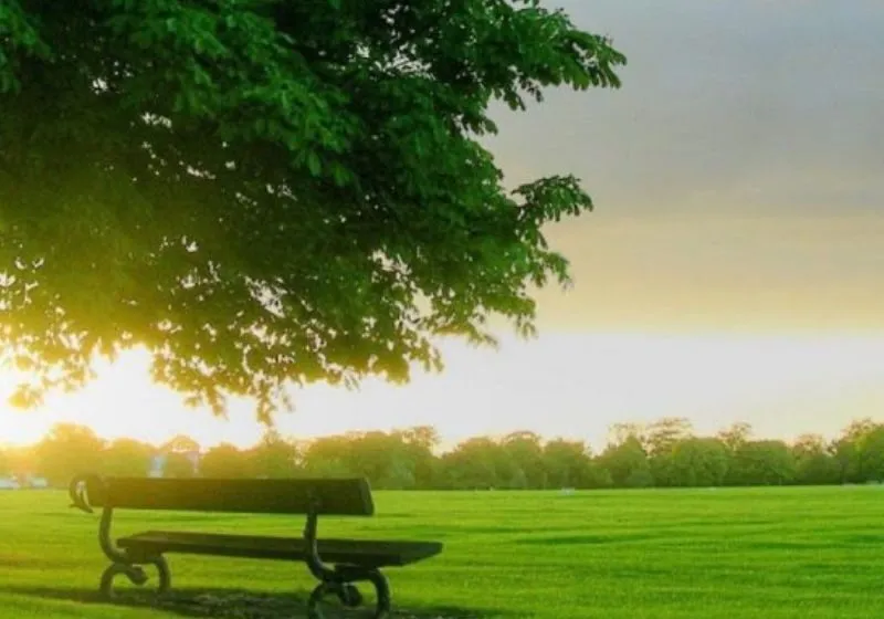 chỉ số linh hồn già