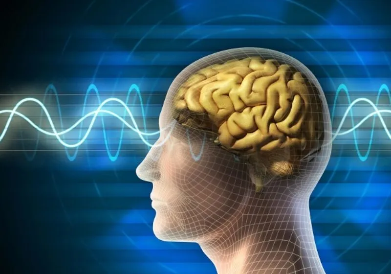 mũi tên trống 456