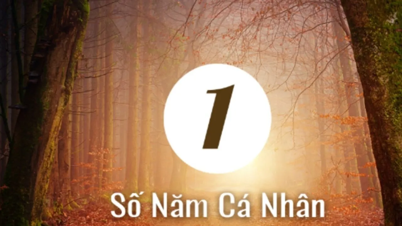 năm cá nhân số 1