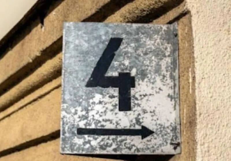 năm cá nhân số 4 nên làm gì