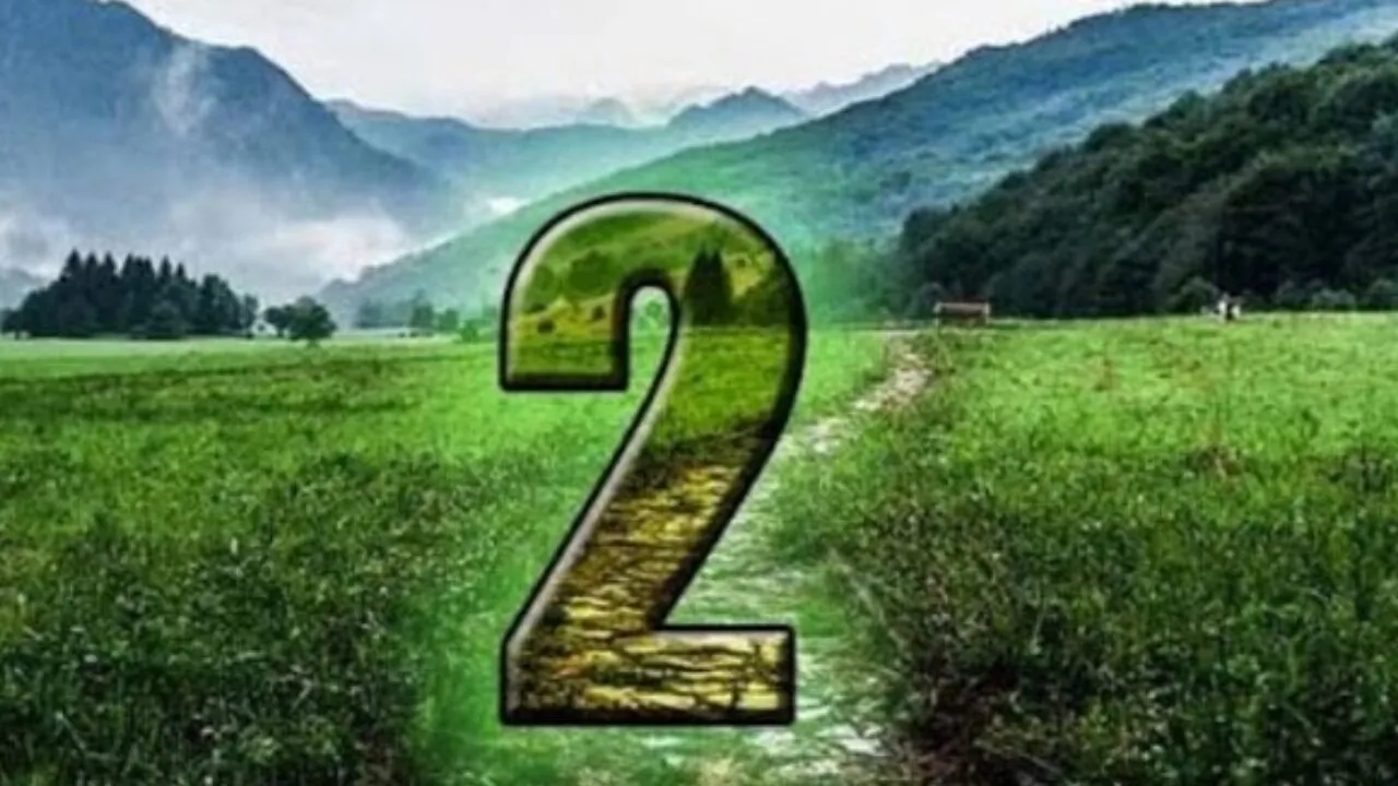 số 2 trong biểu đồ ngày sinh