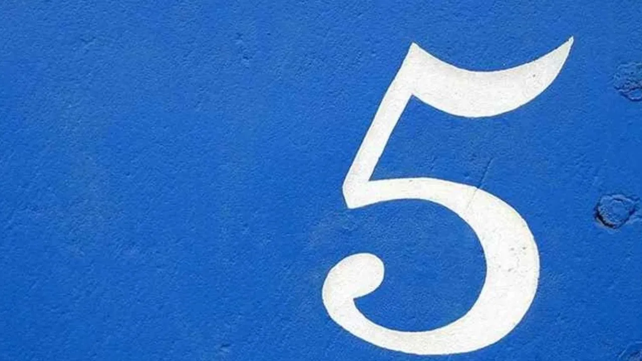 số 5 trong biểu đồ ngày sinh