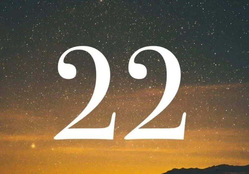 có số chủ đạo 22 không