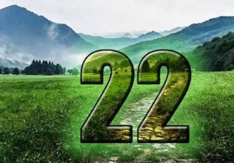 số chủ đạo 22 nên học ngành gì